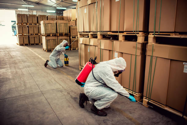 Best Pest Control for Businesses  in Steger, IL