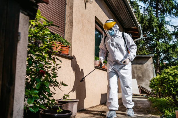 Best Rodent Control Near Me  in Steger, IL