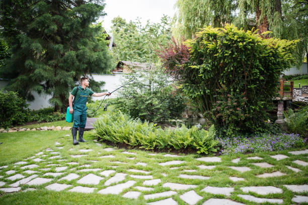 Professional Pest Control in Steger, IL