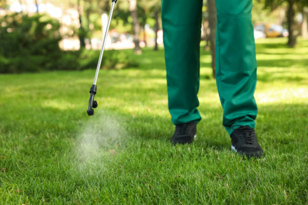 Best Bed Bug Extermination  in Steger, IL