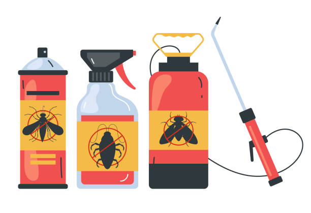 Best Wasp Removal Services  in Steger, IL