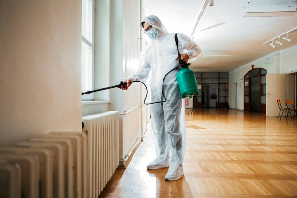 Best Pest Control for Restaurants  in Steger, IL
