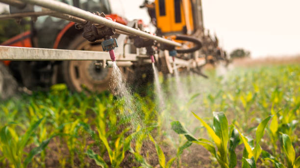 Best Mosquito Control Services  in Steger, IL